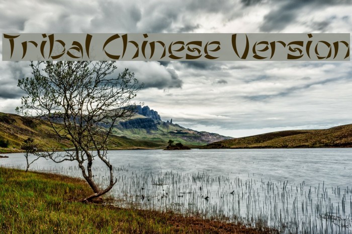 Tribal Chinese Version Example 3