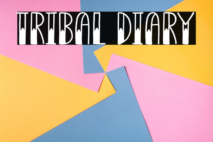 Tribal Diary Example 1