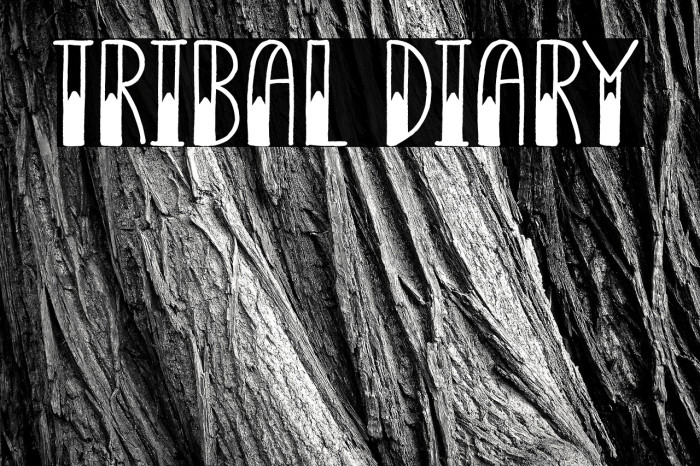 Tribal Diary Example 2