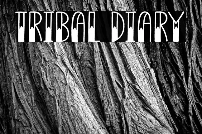Tribal Diary Fonte examples