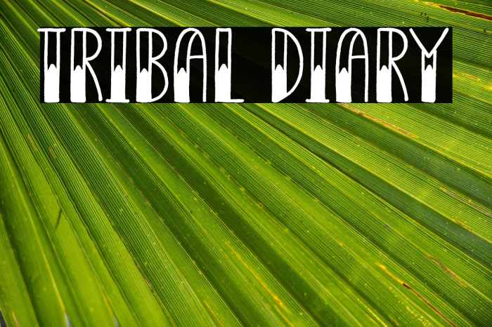Tribal Diary Example 3