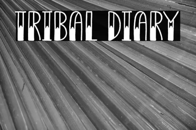 Tribal Diary Fonte examples