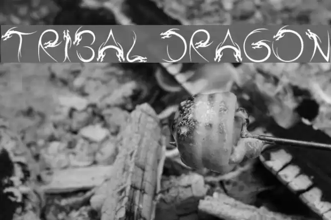 Tribal Dragon フォント examples