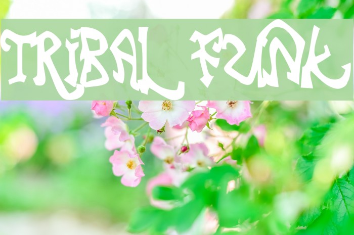 Tribal Funk Font examples