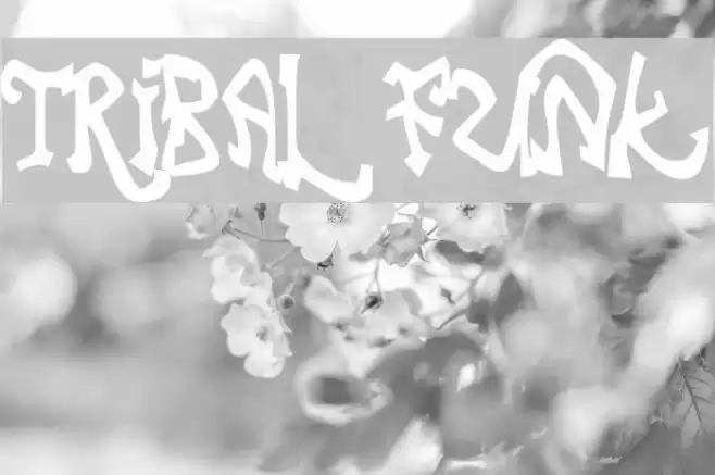 Tribal Funk Font examples