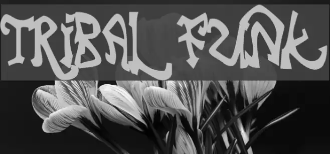 Tribal Funk Font examples