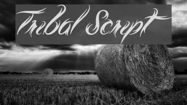 Tribal Script Font examples
