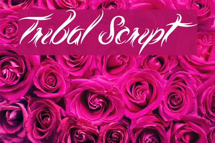 Tribal Script Font examples