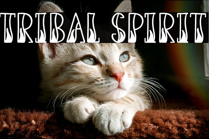 Tribal Spirit Example 1