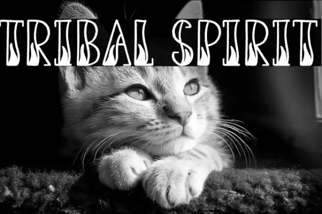 Tribal Spirit Fuentes examples