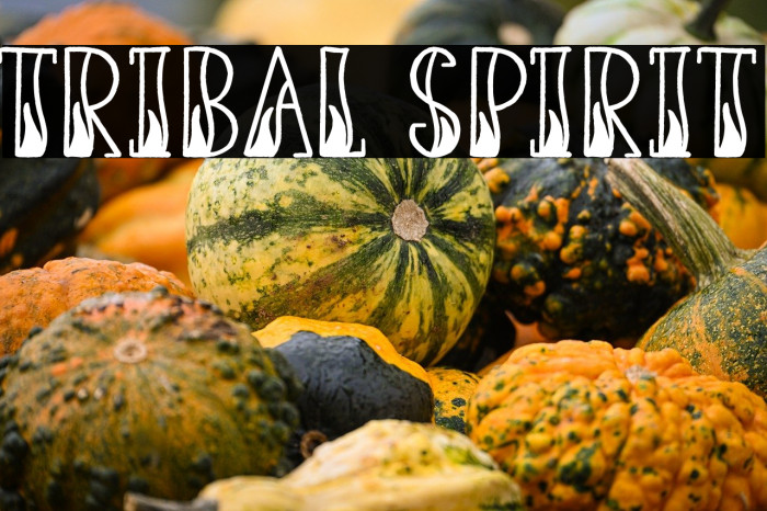 Tribal Spirit Example 2