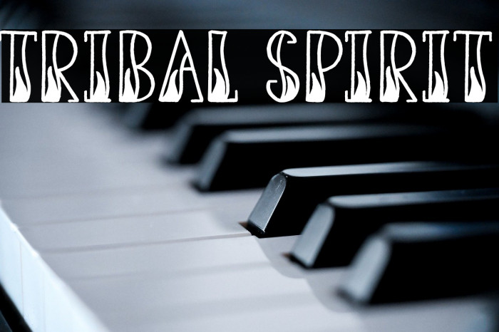 Tribal Spirit Example 3