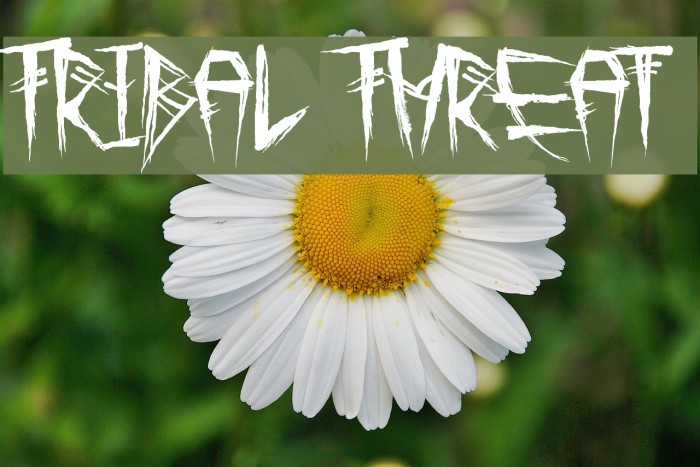 Tribal Threat Example 2