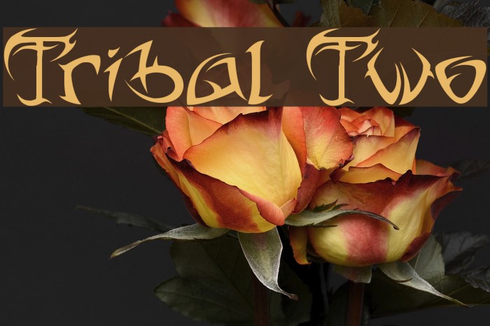 Tribal Two Font examples