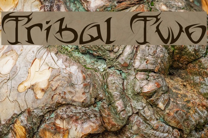 Tribal Two Font examples