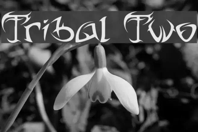 Tribal Two Font examples