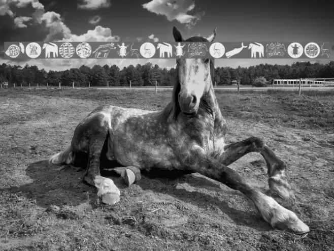 TribalDesignsCinque Font examples