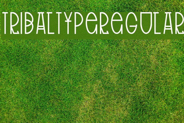 TribalType-Regular Font examples