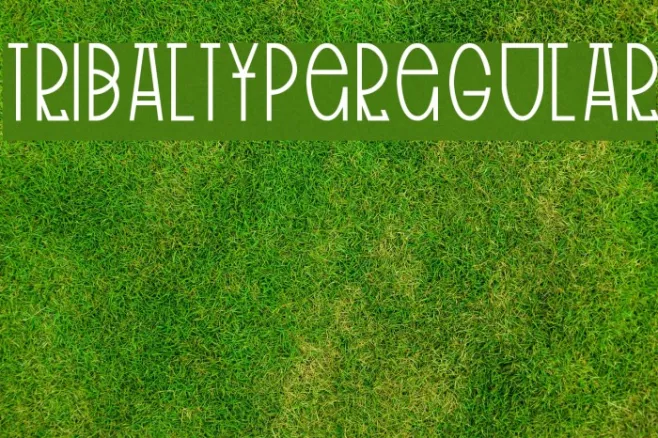 TribalType-Regular Example 2