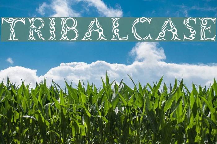 Tribalcase Font examples