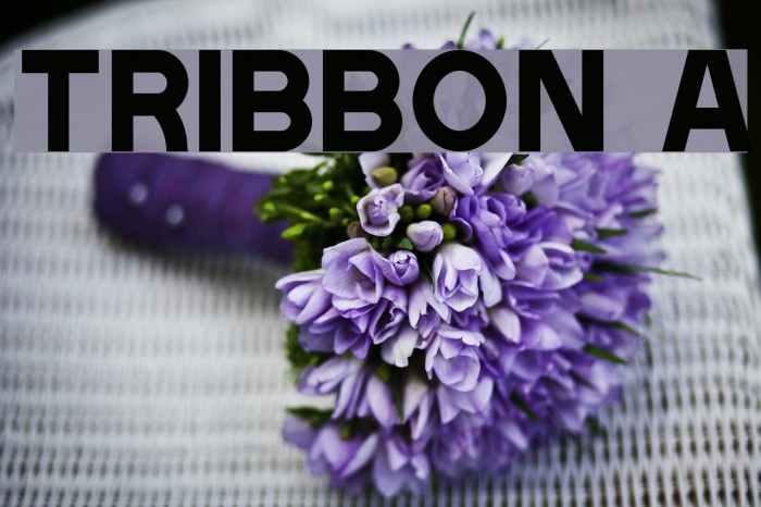 Tribbon A Font examples