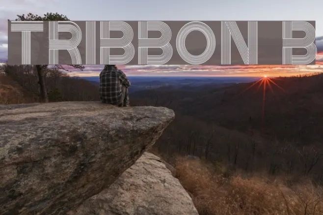 Tribbon B Example 1