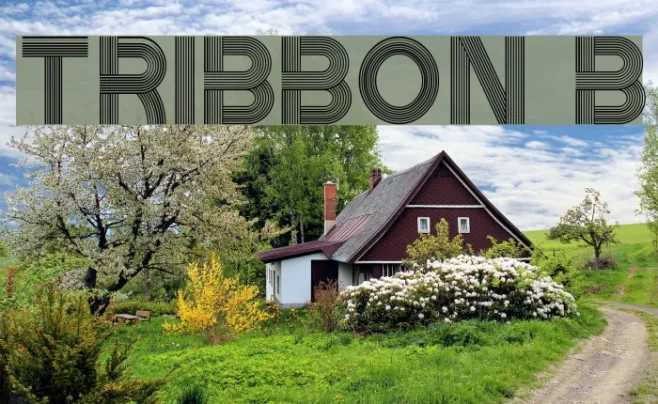 Tribbon B Example 2