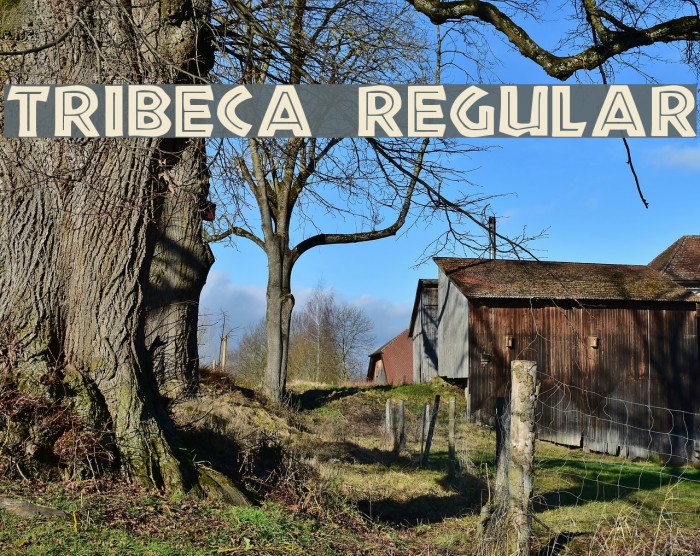 Tribeca Regular Font examples