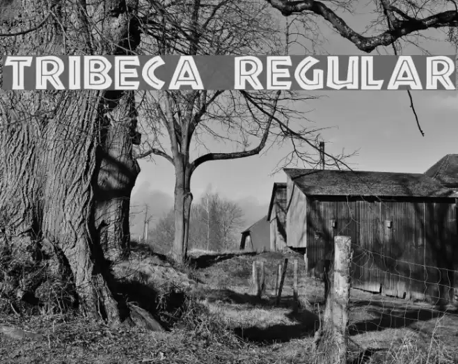 Tribeca Regular Font examples