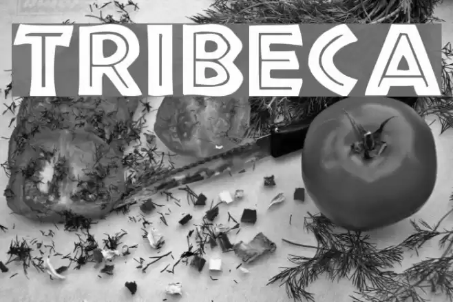 Tribeca Font examples
