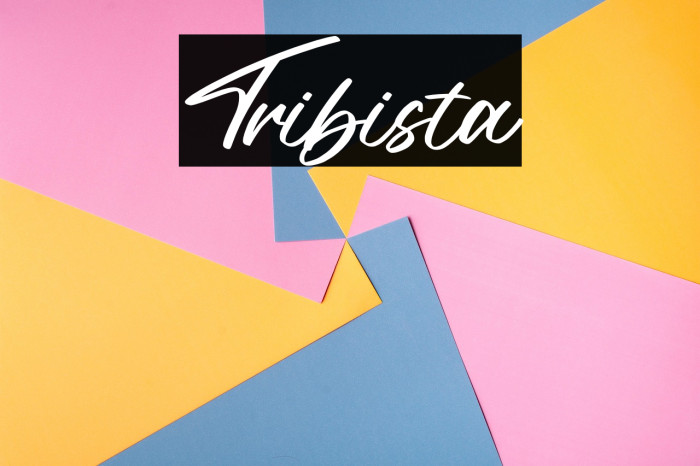 Tribista Example 1