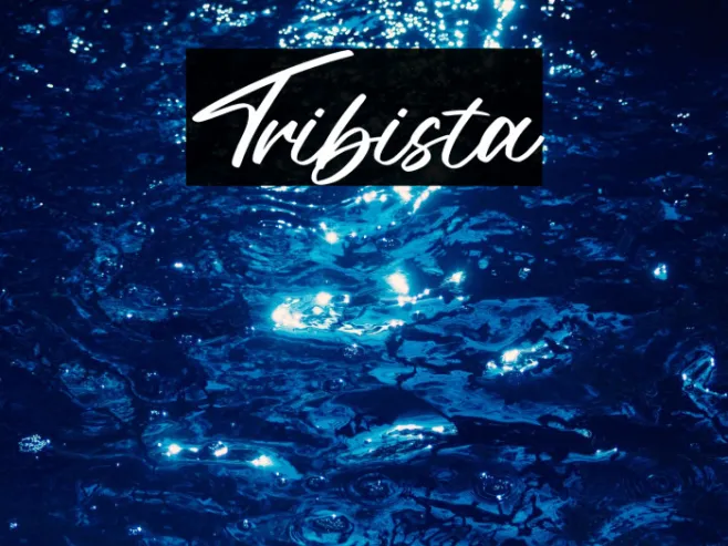 Tribista Example 3