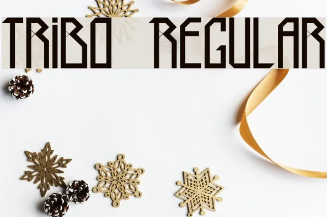 Tribo Regular Example 1