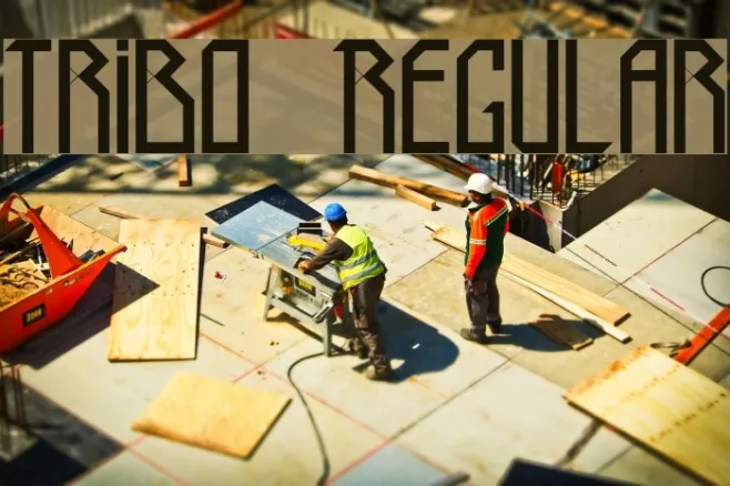 Tribo Regular Example 2