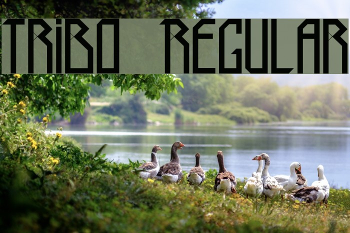 Tribo Regular Font examples