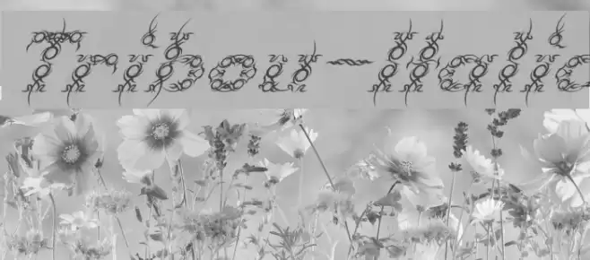 Tribou-Italic Font examples