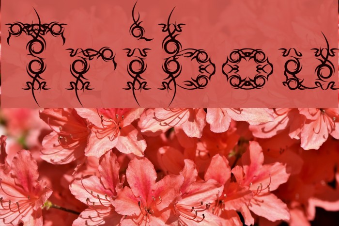Tribou Font examples