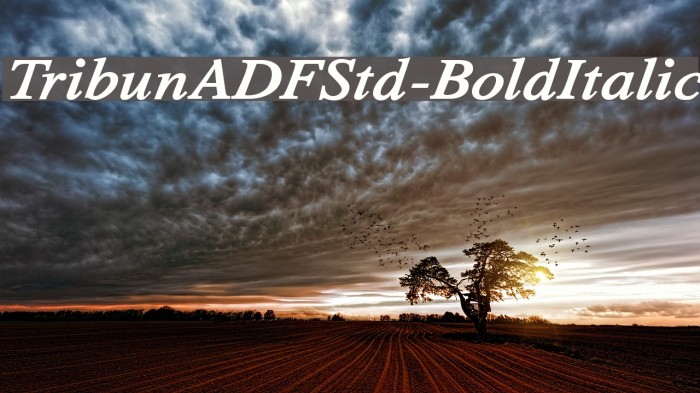 TribunADFStd-BoldItalic Font examples