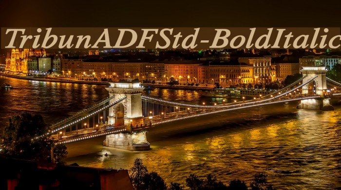 TribunADFStd-BoldItalic Font examples