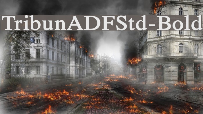 TribunADFStd-Bold Font examples