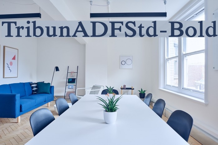 TribunADFStd-Bold Font examples