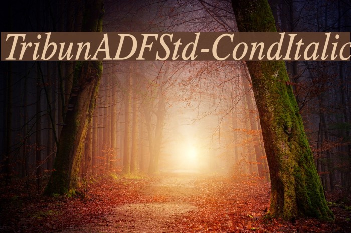 TribunADFStd-CondItalic Fuentes examples