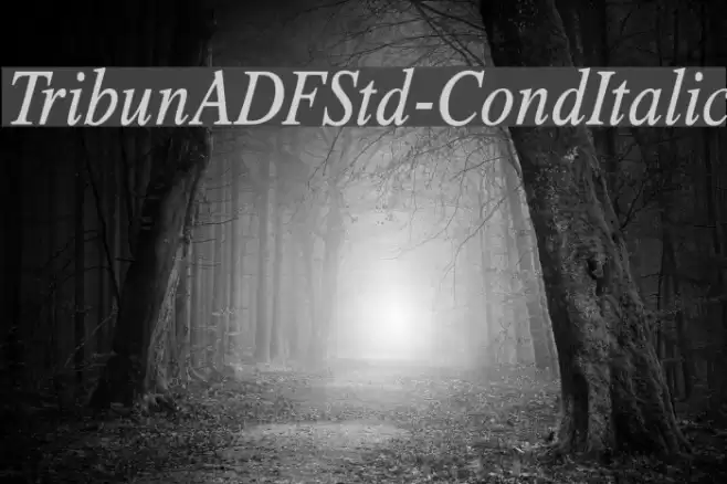 TribunADFStd-CondItalic Schriftart examples
