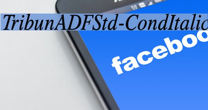 TribunADFStd-CondItalic Fuentes examples