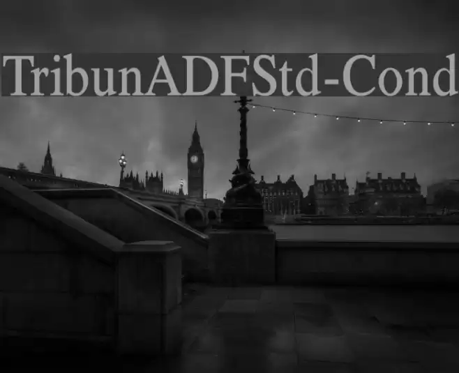 TribunADFStd-Cond Polices examples