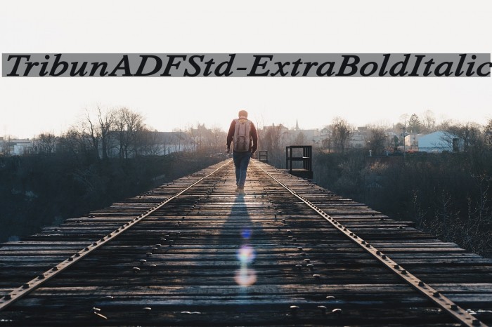TribunADFStd-ExtraBoldItalic Font examples