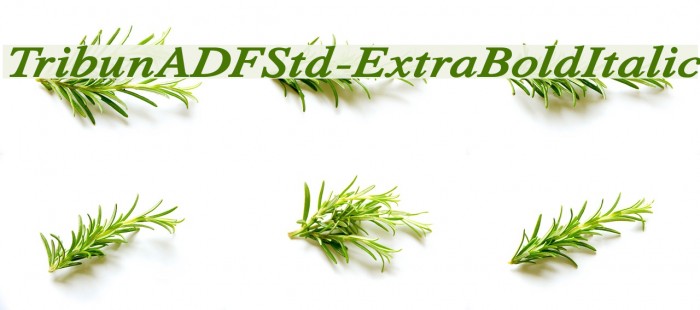 TribunADFStd-ExtraBoldItalic Font examples