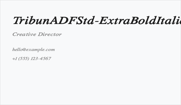 TribunADFStd-ExtraBoldItalic Business Card