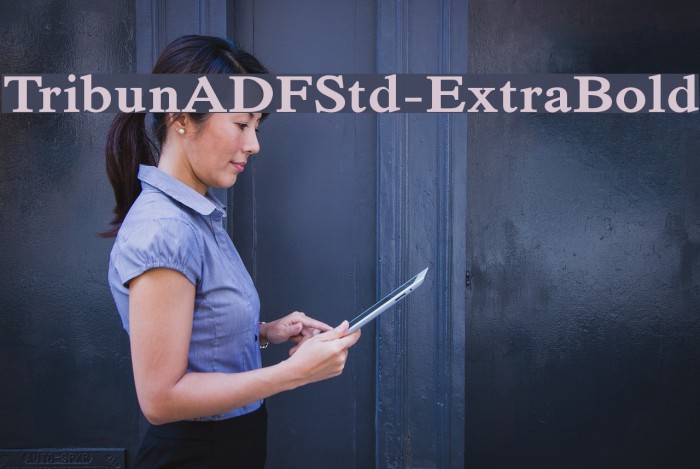 TribunADFStd-ExtraBold Font examples