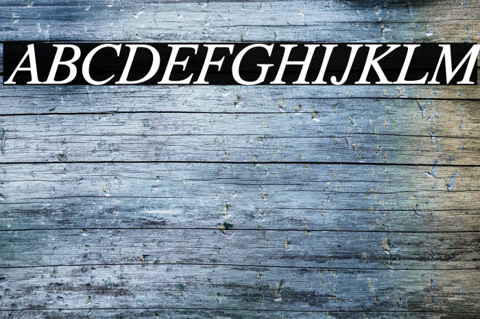 TribunADFStd-Italic Font examples